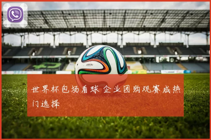 世界杯包场看球 企业团购观赛成热门选择