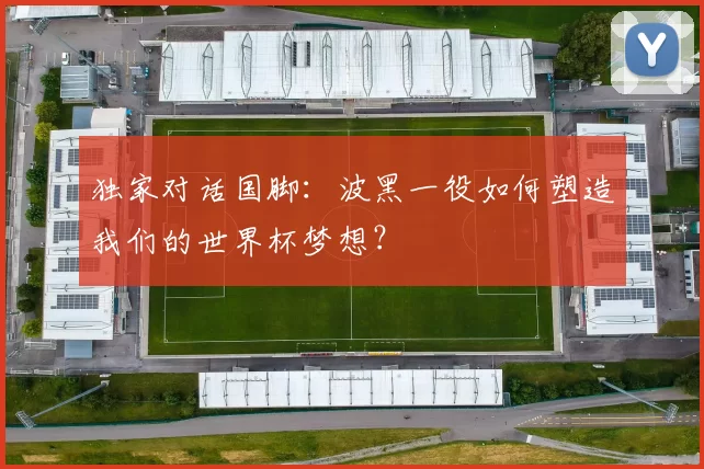 独家对话国脚：波黑一役如何塑造我们的世界杯梦想？