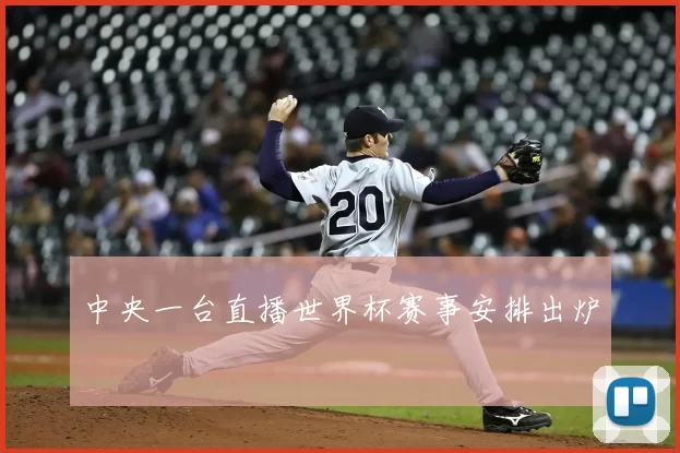 中央一台直播世界杯赛事安排出炉
