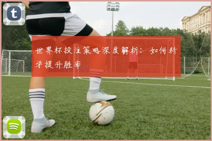 世界杯投注策略深度解析:如何科学提升胜率