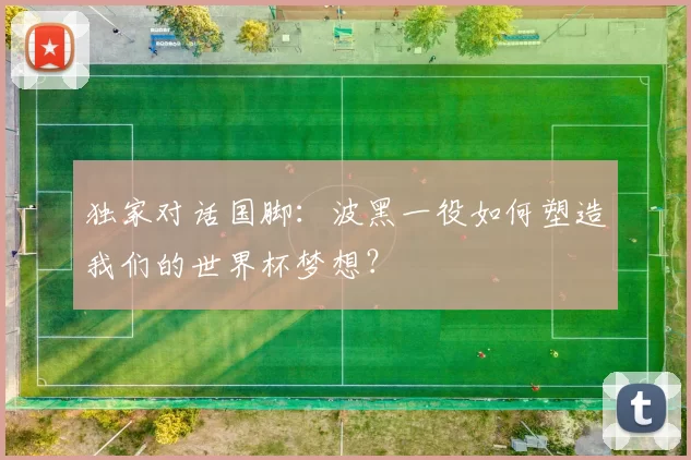 独家对话国脚：波黑一役如何塑造我们的世界杯梦想？