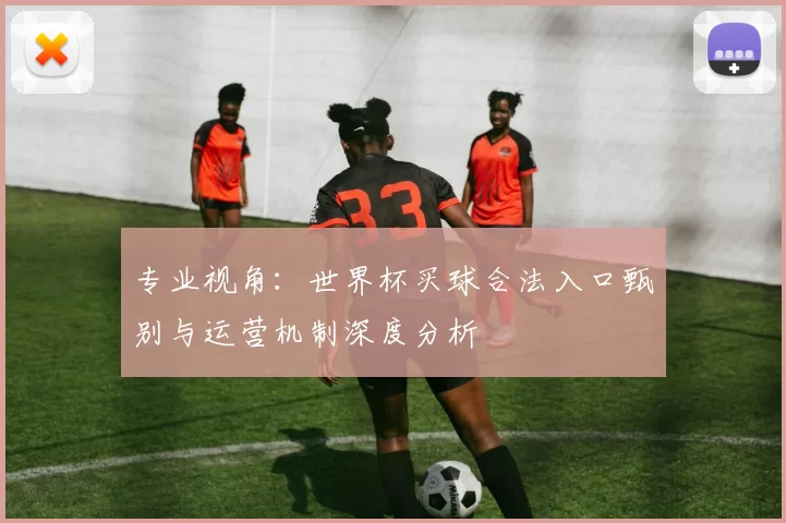 专业视角：世界杯买球合法入口甄别与运营机制深度分析