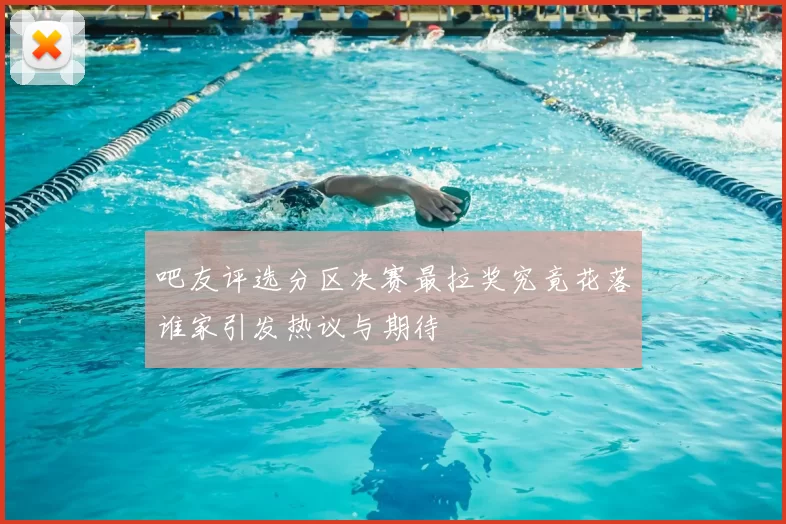 吧友评选分区决赛最拉奖究竟花落谁家引发热议与期待