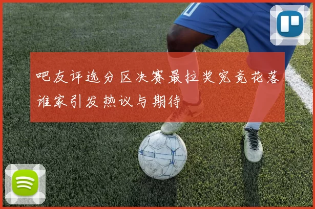 吧友评选分区决赛最拉奖究竟花落谁家引发热议与期待