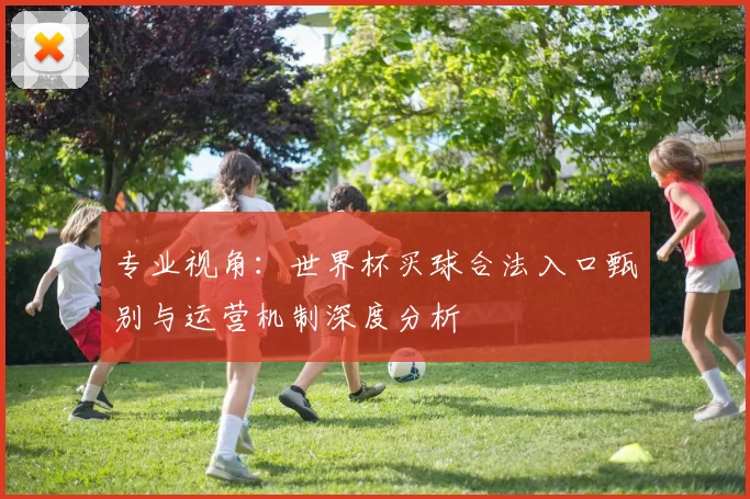 专业视角：世界杯买球合法入口甄别与运营机制深度分析