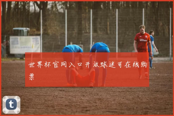 世界杯官网入口开放球迷可在线购票