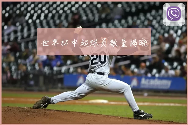 世界杯中超球员数量揭晓