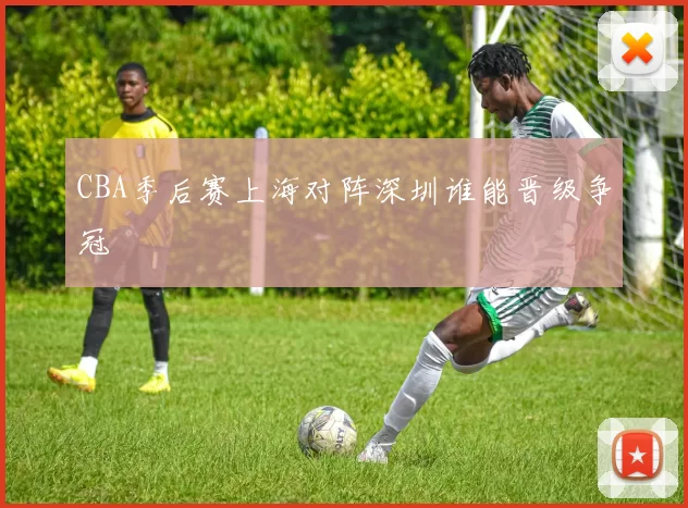 CBA季后赛上海对阵深圳谁能晋级争冠