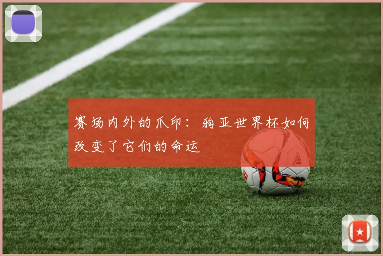 赛场内外的爪印:狗亚世界杯如何改变了它们的命运