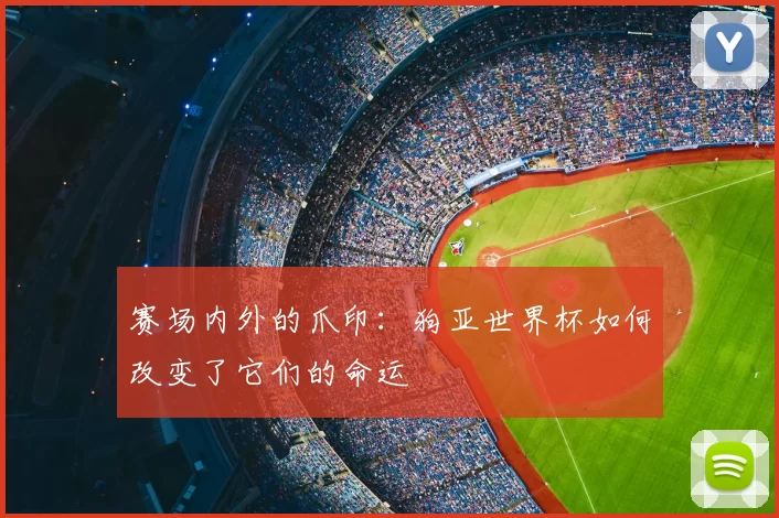 赛场内外的爪印:狗亚世界杯如何改变了它们的命运